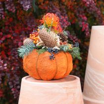 Artículo Maceta de calabaza naranja/amarillo-verde de sisal Ø15cm H9cm