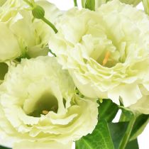 Artículo Flores artificiales Eustoma Lisianthus amarillo verde 52cm 5 piezas