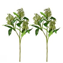 Artículo Flores artificiales verde Skimmia japonica Skimmie 45cm 2ud