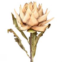 Artículo Planta artificial alcachofa crema aspecto seco Ø15cm 73cm