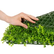 Artículo Tapete de plantas artificiales de boj de 55x55 cm para decoración de paredes.