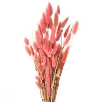 Artículo Lagurus Cola De Conejo Seca Hierba Rosa L45cm 50g