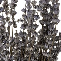 Artículo Flores secas fragantes de lavanda 35-40cm 50g