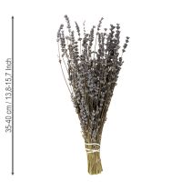 Artículo Lavanda seca, flores secas fragantes, 35-40 cm, 100 g