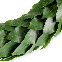 Corona de laurel Ø46cm verde