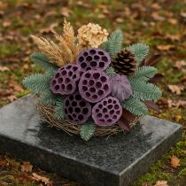 Artículo Cápsulas de loto, floristería seca, bulbo de loto rosa, blanco lavado 50 piezas