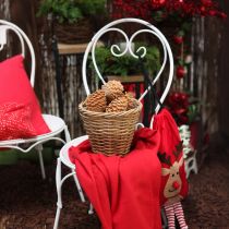 Artículo Conos Maritima crema-vainilla mixtos 5-18cm 25 uds