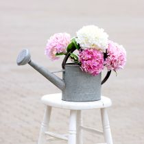 Artículo Regadera de metal, decoración de jardín aspecto vintage gris plateado L53cm H29cm