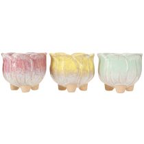 Artículo Mini maceta de cerámica con flores surtidas Ø8cm H7cm 3uds