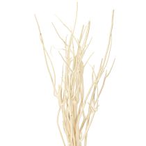 Artículo Ramas de Mitsumata blancas 34-60cm 12 piezas