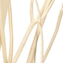 Artículo Ramas de Mitsumata blancas 34-60cm 12 piezas