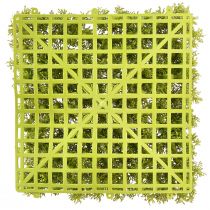 Artículo Alfombra de musgo artificial: perfecta para cuadros de musgo verde claro 25×25 cm