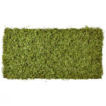 Artículo Alfombra de musgo musgo artificial para cuadro de musgo verde 100×50cm