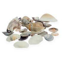 Artículo Mezcla de mejillones al natural 400g