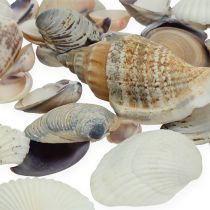 Artículo Mezcla de mejillones al natural 400g