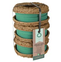 Artículo Anillo/Corona OASIS® Biolit® 17 cm 6 piezas