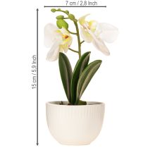 Artículo Mini orquídeas artificiales blancas en maceta 15cm