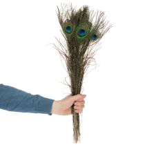 Artículo Plumas de pavo real, plumas de ave auténticas para manualidades y decoración, 55 cm, 10 unidades