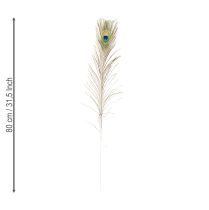 Artículo Plumas de pavo real decorativas, plumas de ave reales, largo 75-85 cm, 8 piezas