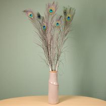 Artículo Decoración de plumas de pavo real, plumas de ave auténticas, 75-85 cm de largo, 8 piezas