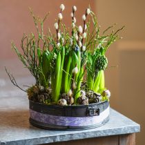 Artículo Macetero, molde decorativo para hornear, molde desmontable para plantar, decoración de metal Ø24cm H7.5cm