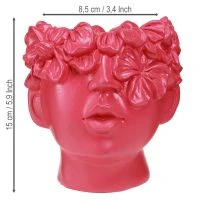 Artículo Busto de poliresina con forma de cabeza de planta, color rosa, 13,5 x 13 x 14 cm