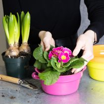 Artículo Maceta metálica, diseño original para espacios sofisticados y decoración con estilo, 17 cm, 3 unidades.