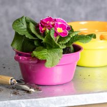 Artículo Jardinera de metal, diseño original para espacios sofisticados y decoración con estilo, 17cm, 3 piezas