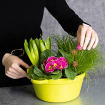 Artículo Macetero de chapa metálica, decoración primaveral para el salón, 25 cm, 3 unidades