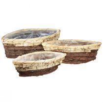 Artículo Botes para plantas corteza de madera de 3 colores 33,5/40/48 cm juego de 3