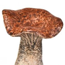Artículo Figuras decorativas de setas inspiradas en la naturaleza - Varios tonos de marrón, 6,4 cm - Acentos encantadores para el jardín y el hogar - Paquete de 3