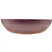 Artículo Elegante cuenco de plástico morado 37x10,5 cm - versátil para decoración - 3 piezas