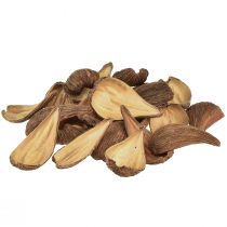 Artículo Vainas de cápsulas de frutas y semillas Pradeep Pods 9-12 cm natural 50 uds