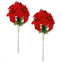 Artículo Magnífica estrella de Navidad - Poinsettia en rojo - 46 cm 6 piezas 2 racimos