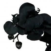 Artículo Orquidea para decorar Negra 54cm