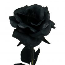 Artículo Rosa Flor de Seda Negra 63cm
