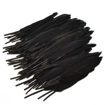 Artículo Plumas Negras Plumas de Ganso Decorativas Negro 11-14cm 180uds