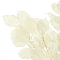 Artículo Hoja de Plata Luna Violeta Lunaria Preservada L70cm 20g