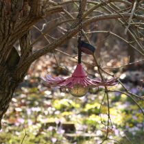 Artículo Lámpara LED solar para jardín con flores, metal, color rosa, diámetro 30 cm