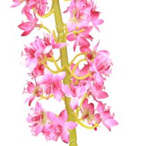 Artículo Vela de estepa Desert Tail Rosa 106cm