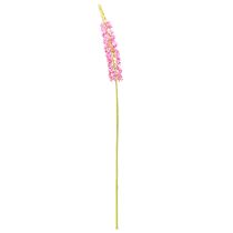 Artículo Vela de estepa Desert Tail Rosa 106cm