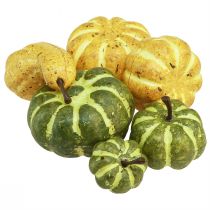 Artículo Decoración dispersa decoración de otoño calabazas amarillo verde Ø2–4,5cm 12 piezas