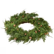 Artículo Corona de abeto Thuja con yemas base corona de vid Ø50cm