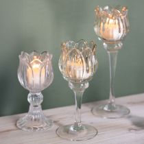Artículo Portavelas de cristal, forma de flor decorativa para un ambiente elegante, 17 cm