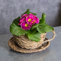 Artículo Cesta de té para decoración natural del hogar y ambiente encantador 15cm
