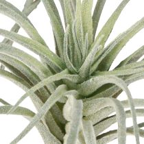 Artículo Plantas artificiales suculentas Tillandsia de 13 cm