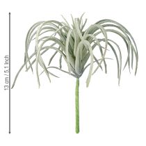 Artículo Plantas artificiales suculentas Tillandsia de 13 cm