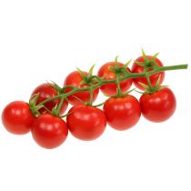 Tomate rama Ø4cm 1 panoja