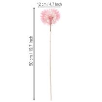 Artículo Flores secas de diente de león gigante para decoración, elegante accesorio para el hogar, 12 cm, 4 unidades