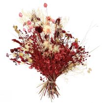Artículo Ramo de flores secas, rojo vino, cardo decorativo, 40 cm, 80 g
